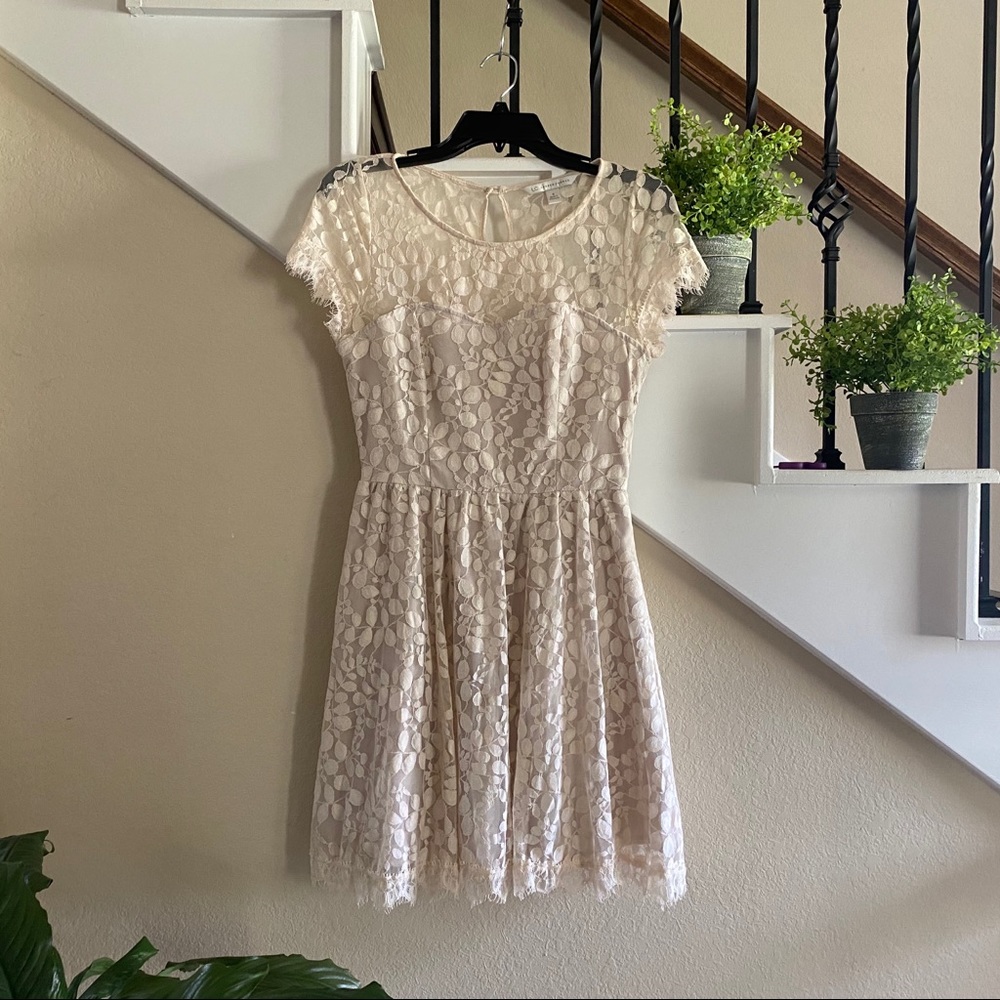 Lauren Conrad - Lace Mini Dress